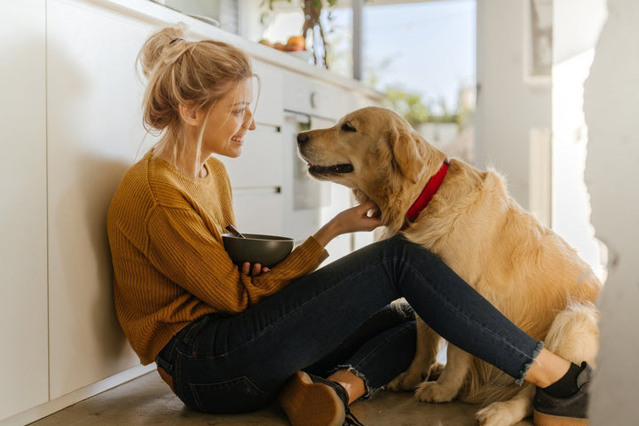 Fish Oil for Dogs Handbook [Benefits, Side Effects, Dosage & Top 5]