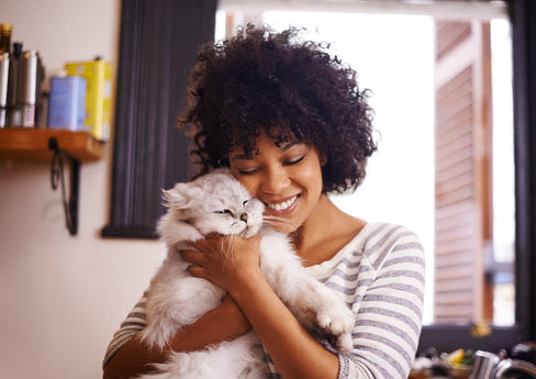 How to Create an Effective Cat Arthritis Treatment Plan