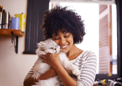 How to Create an Effective Cat Arthritis Treatment Plan