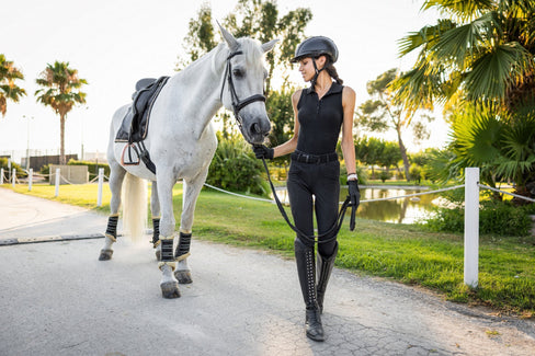 horse boots