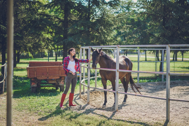 Horse Stable Considerations for Boarding and General Use