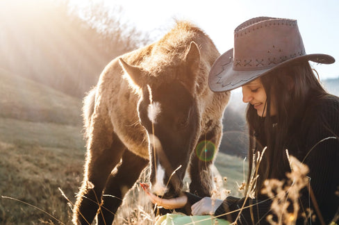 Colt Horse Care 101: Understanding the Basics of Rearing Young Equines