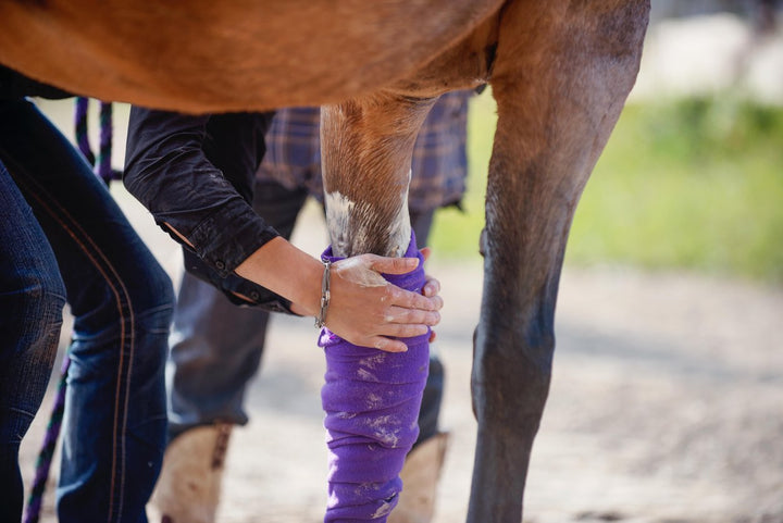 What Does It Mean When a Horse Is Lame?