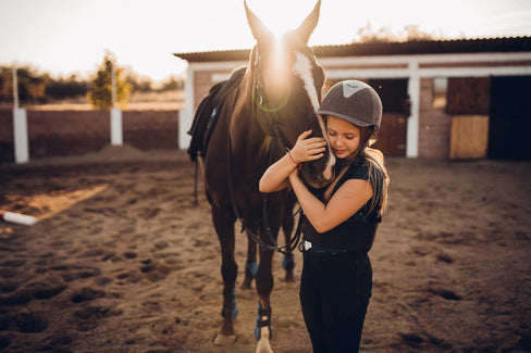 Horse Surgery 101: Types, Procedures, and Outcomes