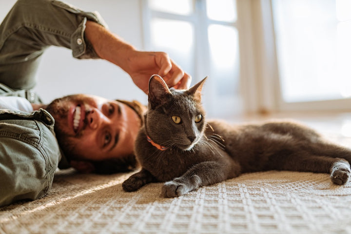 Pet Wellness & Education Tips: Keep Your Pet Healthy & Happy