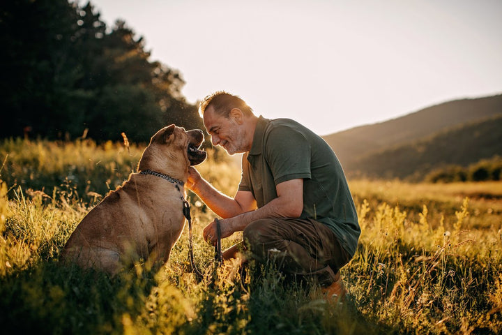 Physical and Mental Signs of Aging Dog