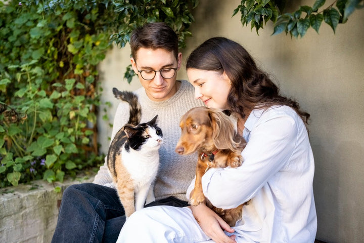 Pet Supplements for Dogs & Cats: Benefits & Recommendations