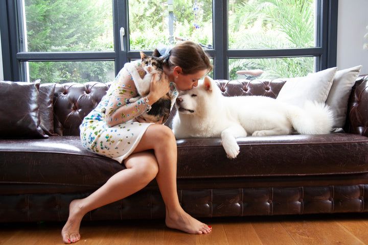 Choosing the Best Pet Joint Supplement: A How-To Guide