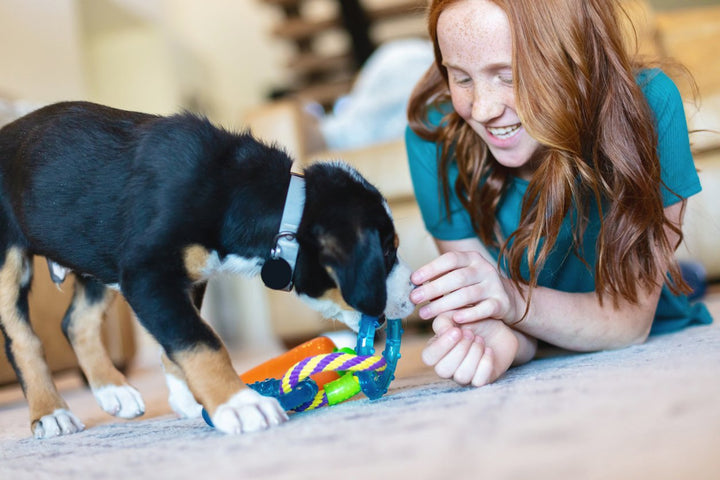 New Puppy Tips & Tricks [Breed Specific]