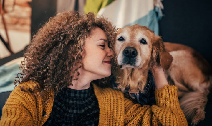 Old Dog Back Legs Collapsing Prevention and Treatment