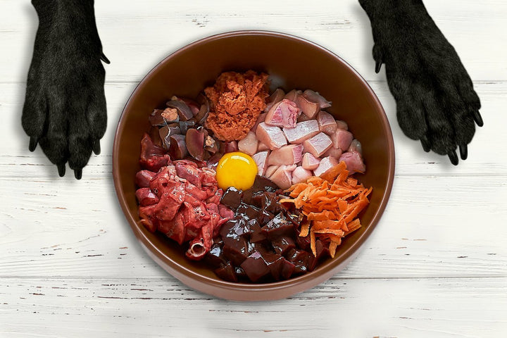 Raw Food Diet For Dogs: Types, Pros & Cons, Cost, and Recipes