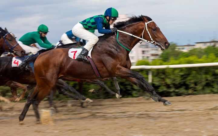 Tendon Injury Horse [Types, Causes, Symptoms & Treatment]