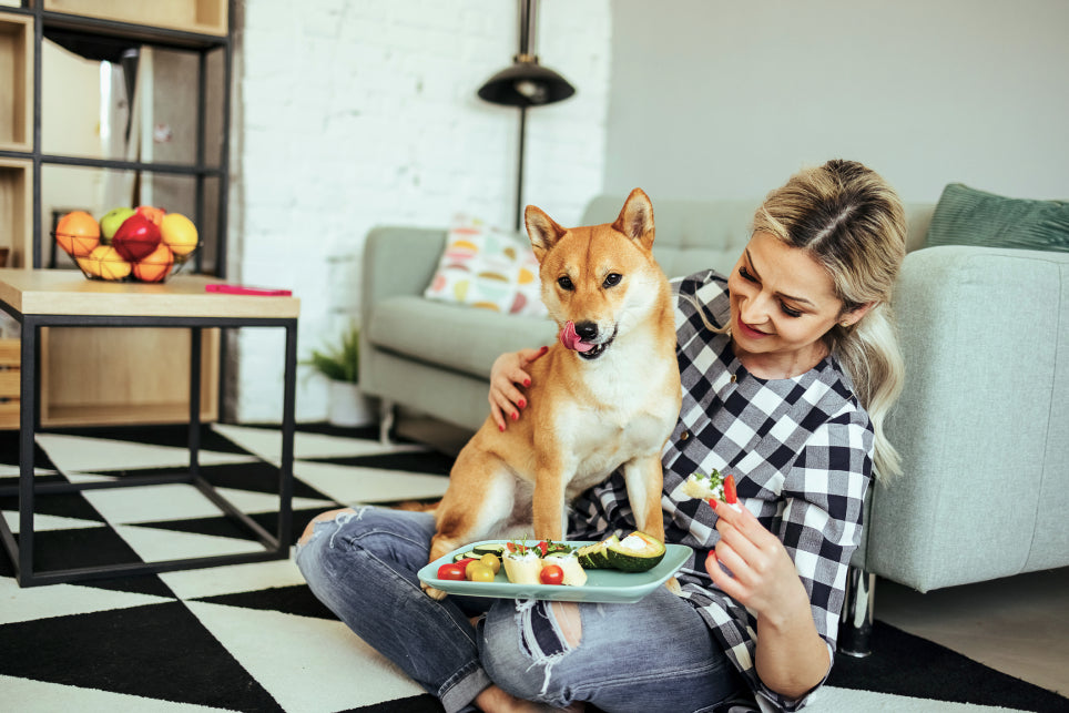 Understanding a Healthy Dog Diet