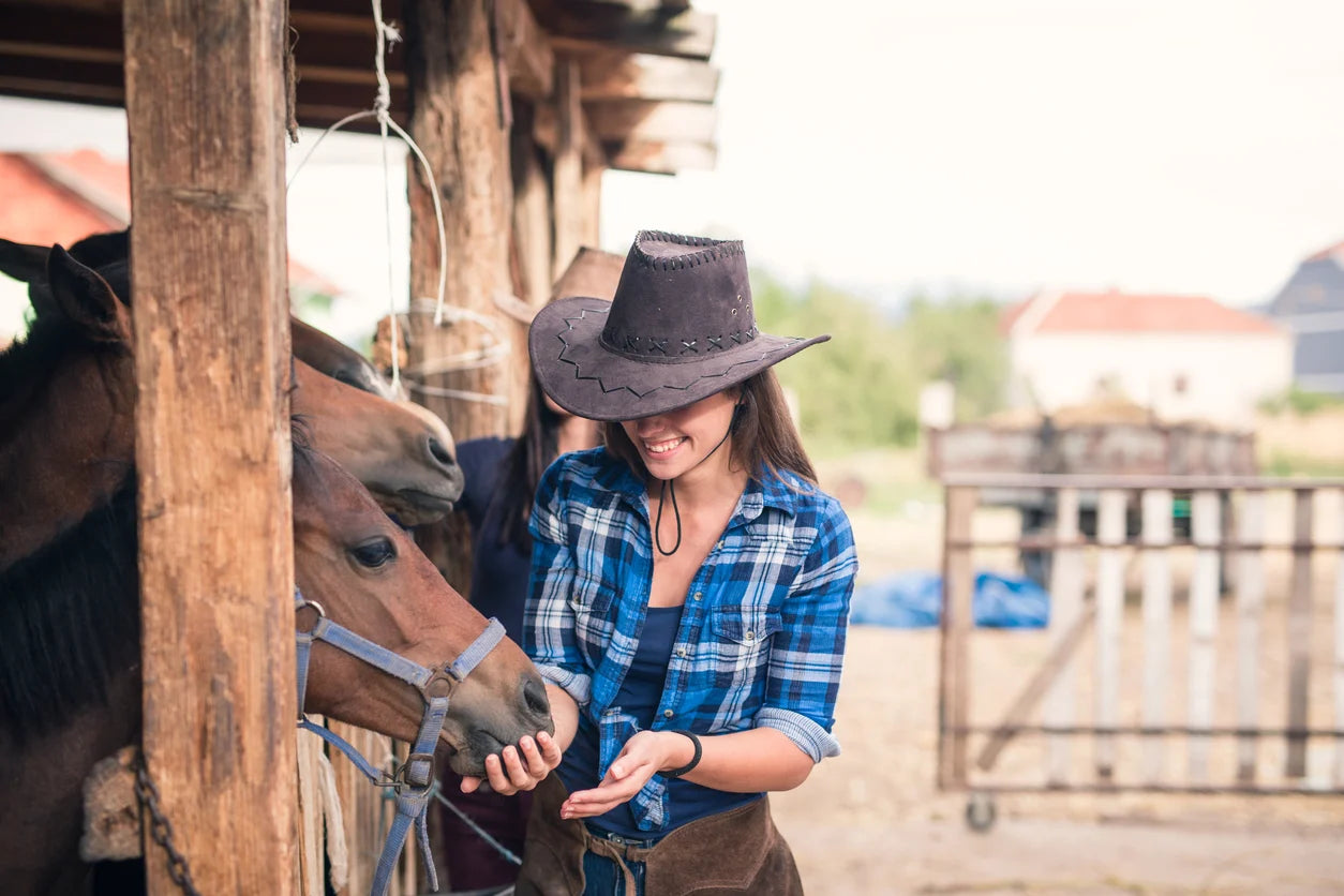 Additional Horse Health Supplements