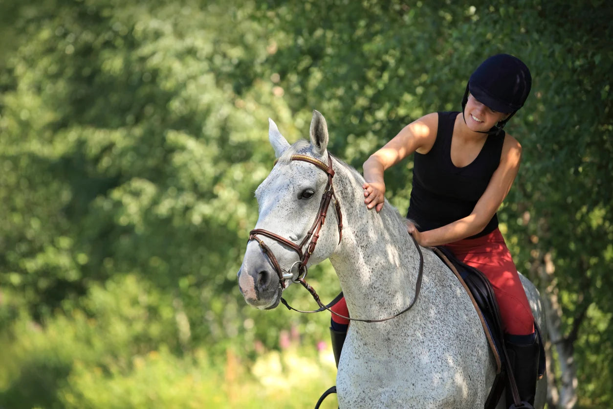 Horse Training Health Considerations