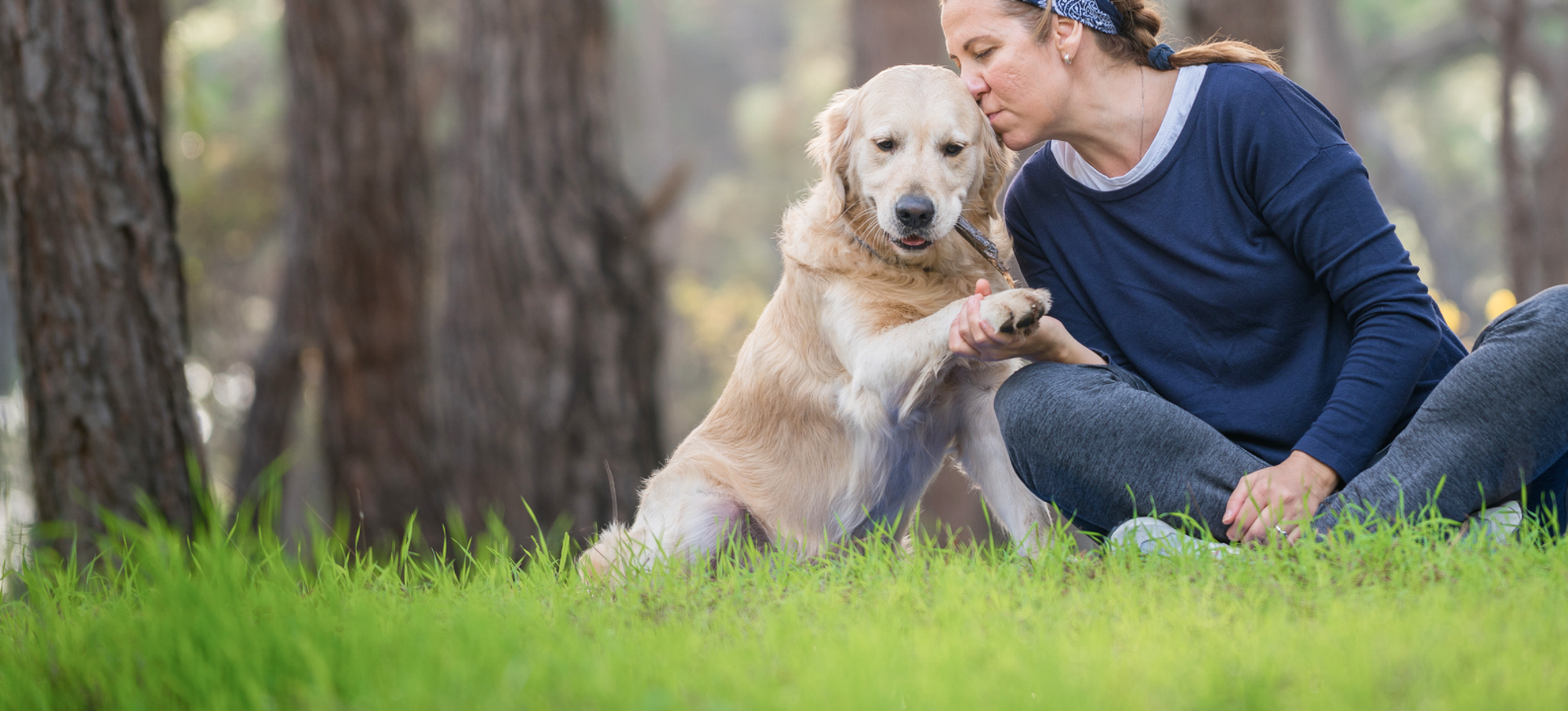 Glucosamine for Dogs